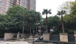 嘉宏房地产爆料最新消息